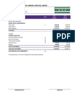 PCC - Financial Stahtements 2013 - Final by Rashid