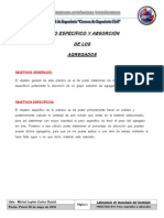 PRACTICA 3 Peso Especifico y Absorcion