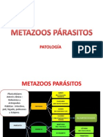 Metazoos Párasitos