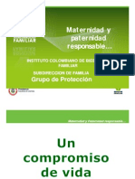 Responsabilidad Paterna