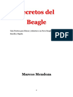 Secretos Del Beagle