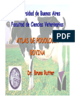 Atlas de Podología Bovina