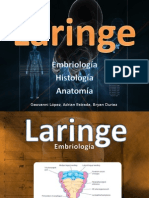 Laringe