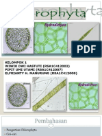 Chlorophyta 1