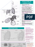 SPM Notes On Chapter Respiration