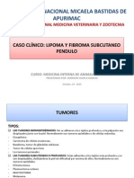 Caso Clínico (Emerson Huayca)