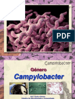 Campylobacter 2014