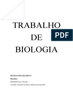 Trabalho Biomas Brasileiros