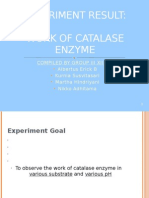 Experiment Result: Work of Catalase Enzyme