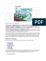 Biogeochemical Cycle