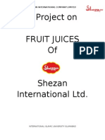 Shezan Project Marketing 2009