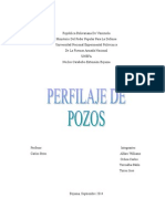 Perfilaje de Pozos