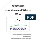 Mercosur Functions and Who Is Who