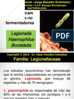 Bacterias GRAMNEGATIVAS No Fermentadoras