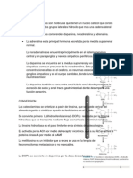 Catecolaminas - Bioquimica