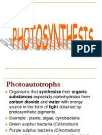 Chapter 6 - Photosynthesis