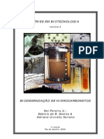 Biodegradação de Hidrocarbonetos