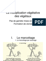 7.1 La Multiplication Vegetative Des Vegetaux