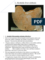 Systemic Path Slides Final-By A Student PDF