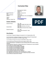 Curriculum Vitae Daniel Guerra Calderon Nuevo