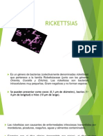 Microbiologia (Rickettsias)