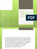 Estudio Organizacional y Legal de Un Proyecto Prueba 2