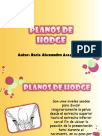 Exposicion de Planos de HODGE