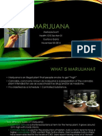 Marijuana Powerpoint