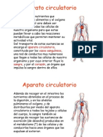 Aparato Circulatorio