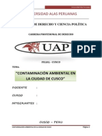 Monografia de Contaminacion Ambiental (Autoguardado)