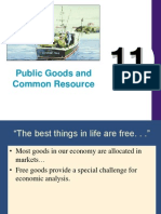 Public Goods and Common Resource