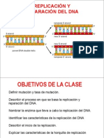 Replicacion PDF