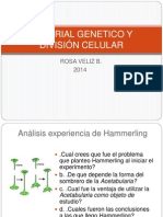 Nucleo y Cromosomasppp