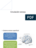 Circulación Venosa