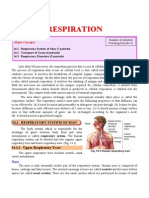 Bilology XII 2014 CH - 14 Respiration