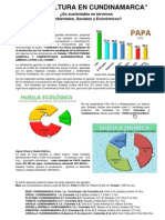 Agricultura en Cundinamarca PDF