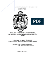 Analisis y Valor Financiero, Corporacion MISTI PDF