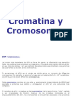 Cromatina y Cromosomas