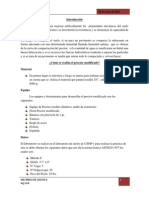 Informe 1 Proctor Modificado