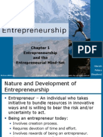 Entrepreneurship & The Entrepreneurial Mindset