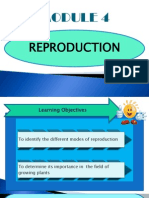 Module 4 Reproduction