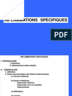 Inflammation Specifique PDF