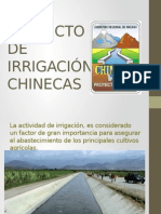 Proyecto Especial Chinecas