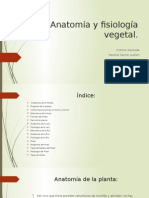 Anatomía y Fisiología Vegetal