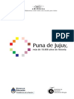 LA PUNA DE JUJUY Mas de Diez Mil Años de Historia PDF