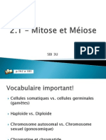 2.1 - Mitose Et Miose