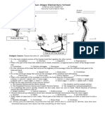 Summative Test 2.1 Nervous System