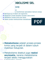 Metabolisme Sel