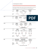 Calculating The Human Development Indices: Technical Note 1