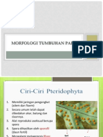 Morfologi Tumbuhan Paku